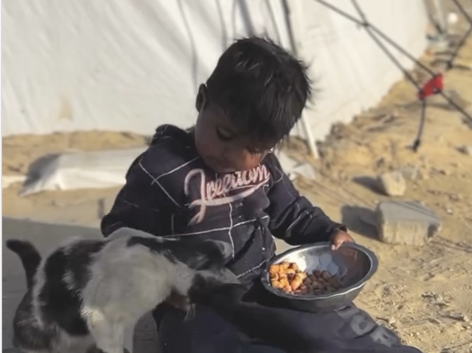 Anak Gaza Kelaparan, Tapi Tetap Berbagi Dengan Binatang